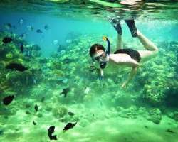 You can also enjoy water sports like sea kayaking, snorkeling, paddle boarding at the place. Also, there are beautiful beaches on the island.